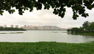 Powai Lake