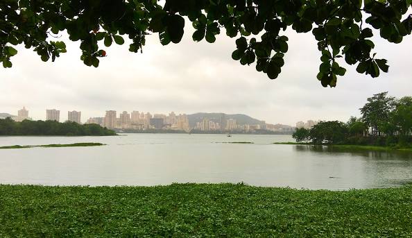 Powai Lake