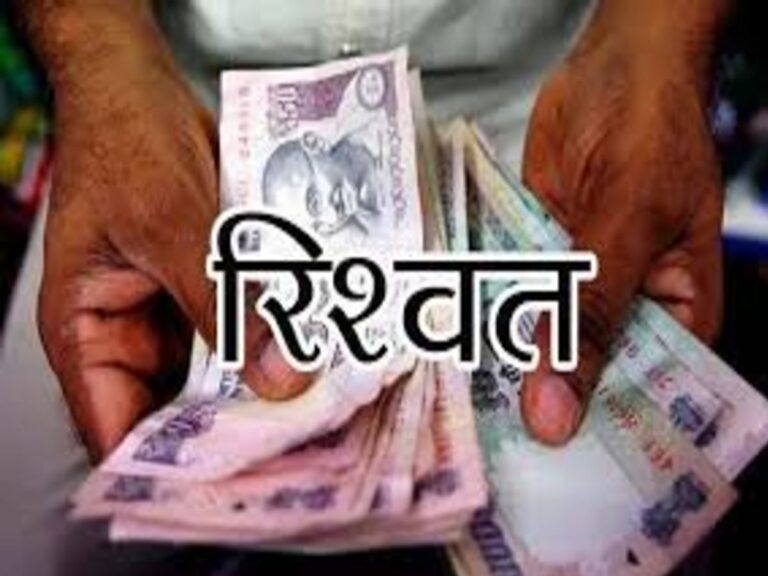bribe