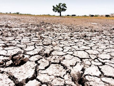 Dry days have increased in Himachal.