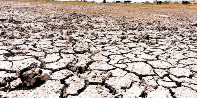 Dry days have increased in Himachal.