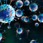 Shamonda virus
