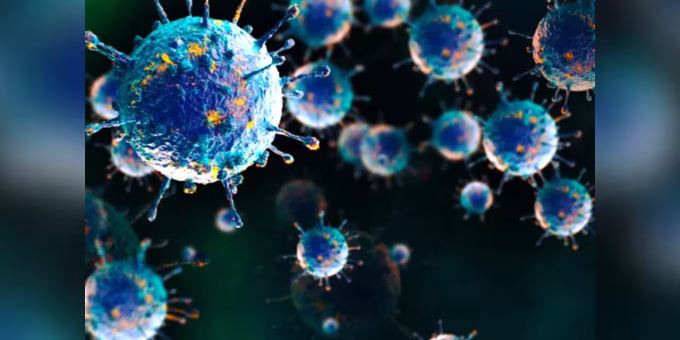 Shamonda virus