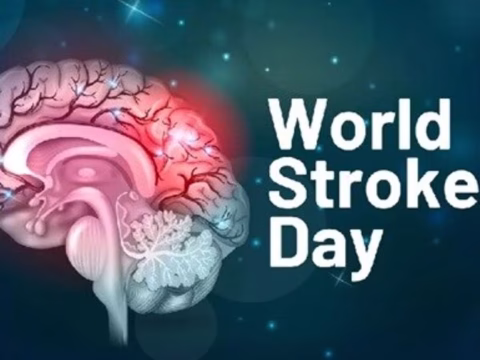 World Stroke Day